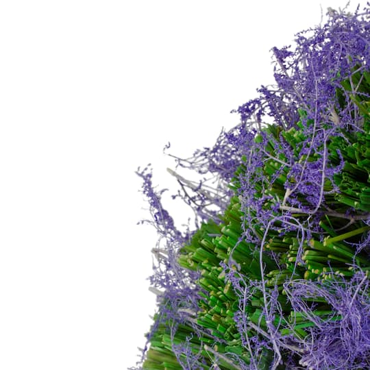 14.5" Purple Reindeer Moss & Green Twig Spring Wreath